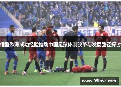 借鉴欧洲成功经验推动中国足球体制改革与发展路径探讨
