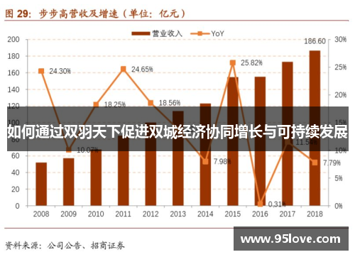 如何通过双羽天下促进双城经济协同增长与可持续发展