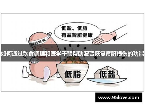 如何通过饮食调理和医学干预帮助波普恢复肾脏损伤的功能