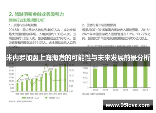 米内罗加盟上海海港的可能性与未来发展前景分析