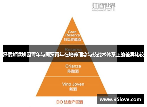 深度解读埃因青年与阿贾青年在培养理念与技战术体系上的差异比较 深度解读埃因青年与阿贾青年在培养理念与技战术体系上的差异比较